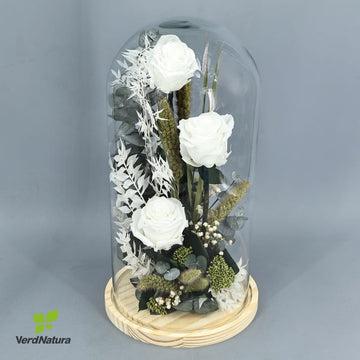 cupula rosas blanca preservad