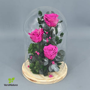 y Cupula Rosas love preservado